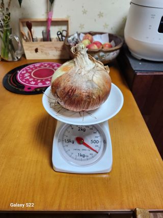 kis님의 자유주제 · 자유게시판 작성글 사진