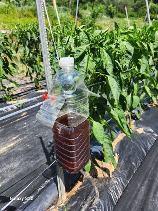 kis님의 자유주제 · 자유게시판 작성글 사진