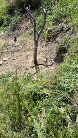 팜모닝 기타작물·영농일지 게시글 이미지