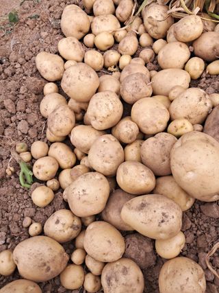 리포님의 자유주제 · 자유게시판 작성글 사진