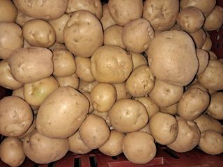 리포님의 자유주제 · 자유게시판 작성글 사진