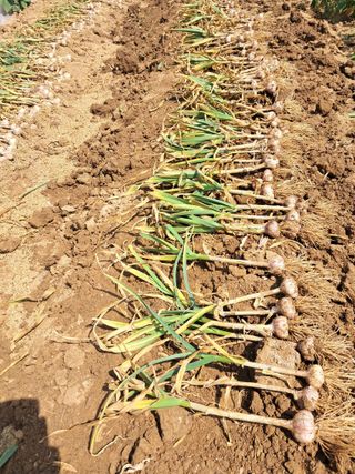 리포님의 자유주제 · 자유게시판 작성글 사진