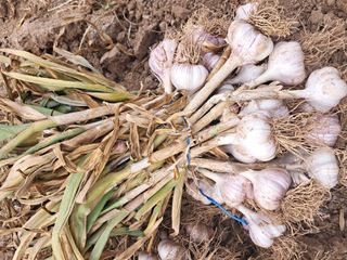 리포님의 자유주제 · 자유게시판 작성글 사진