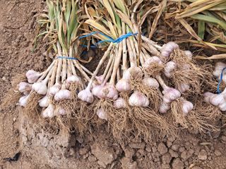 리포님의 자유주제 · 자유게시판 작성글 사진