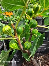 팜모닝 자유주제·자유게시판 게시글 이미지