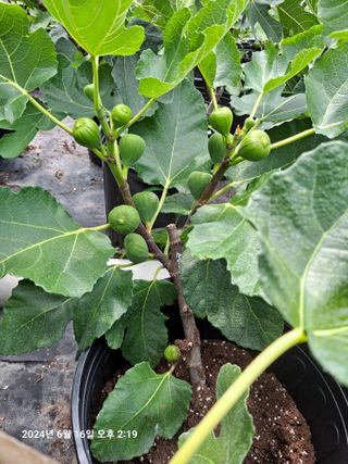 수선화30956님의 자유주제 · 자유게시판 작성글 사진