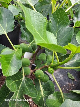 수선화30956님의 자유주제 · 자유게시판 작성글 사진