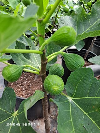 수선화30956님의 자유주제 · 자유게시판 작성글 사진