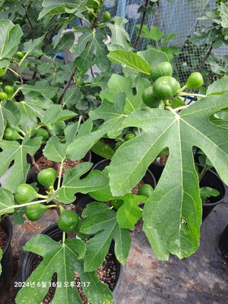 수선화30956님의 자유주제 · 자유게시판 작성글 사진