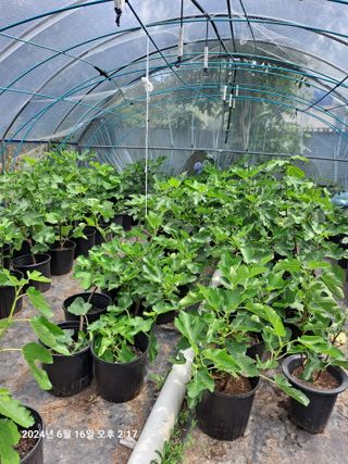 수선화30956님의 자유주제 · 자유게시판 작성글 사진