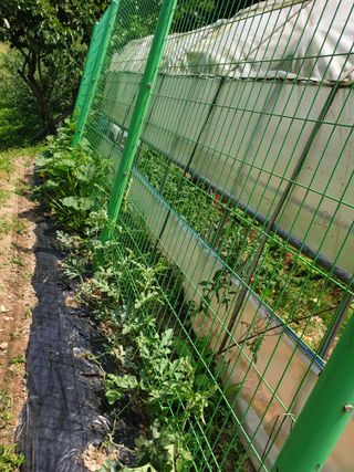 서씨농장님의 자유주제 · 자유게시판 작성글 사진