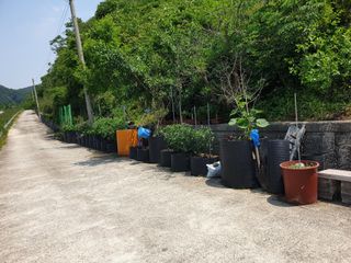 서씨농장님의 자유주제 · 자유게시판 작성글 사진