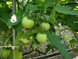 서씨농장님의 자유주제 · 자유게시판 작성글 사진