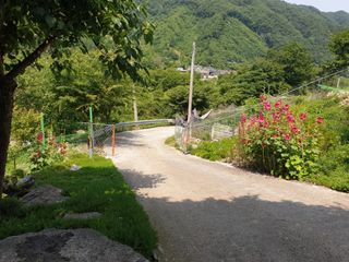 서씨농장님의 자유주제 · 자유게시판 작성글 사진