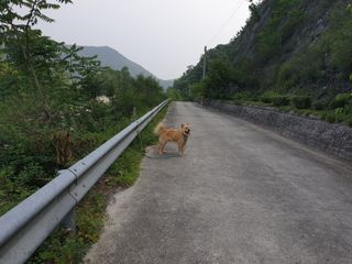 서씨농장님의 자유주제 · 자유게시판 작성글 사진