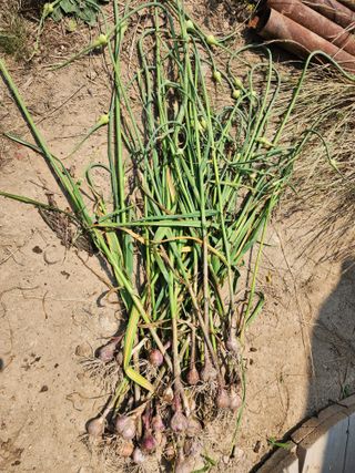 다야님의 자유주제 · 자유게시판 작성글 사진