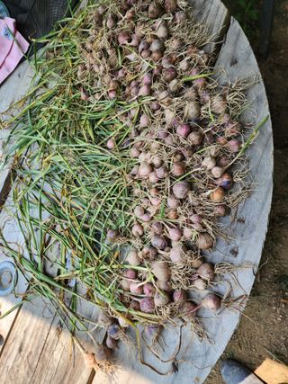 다야님의 자유주제 · 자유게시판 작성글 사진