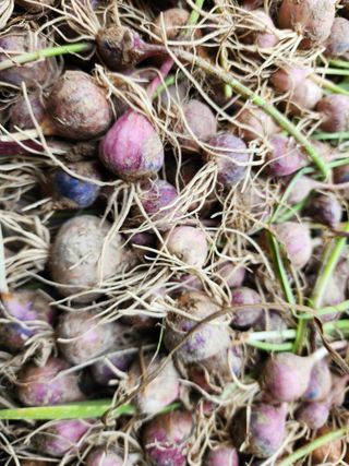 다야님의 자유주제 · 자유게시판 작성글 사진