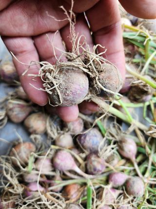 다야님의 자유주제 · 자유게시판 작성글 사진