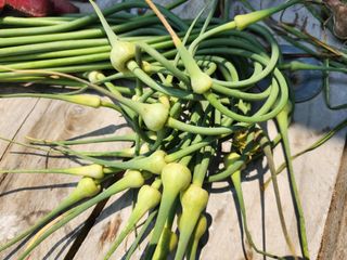 다야님의 자유주제 · 자유게시판 작성글 사진