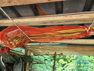 다야님의 자유주제 · 자유게시판 작성글 사진