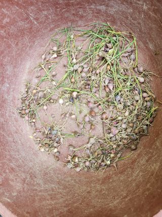 다야님의 자유주제 · 자유게시판 작성글 사진