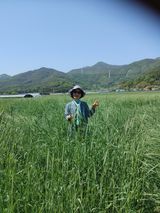 팜모닝 들깨·자유게시판 게시글 이미지