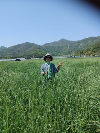 로즈00218님의 들깨 · 자유게시판 작성글 사진