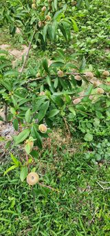 팜모닝 자유주제·사진전 게시글 이미지