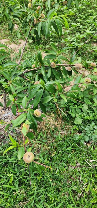 조현덕님의 자유주제 · 사진전 작성글 사진