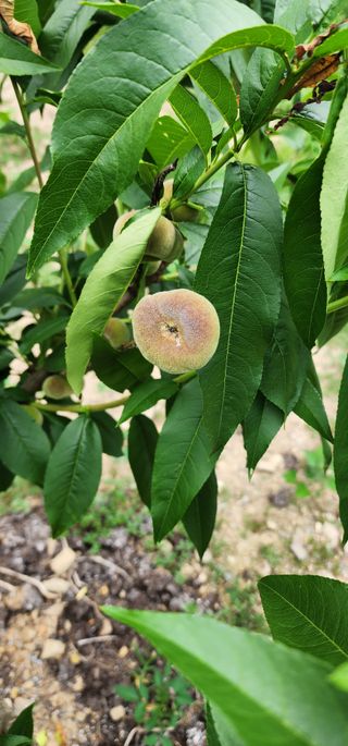 조현덕님의 자유주제 · 사진전 작성글 사진