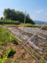 팜모닝 자유주제·자유게시판 게시글 이미지