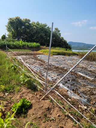 김동수님의 자유주제 · 자유게시판 작성글 사진