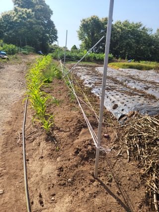 김동수님의 자유주제 · 자유게시판 작성글 사진