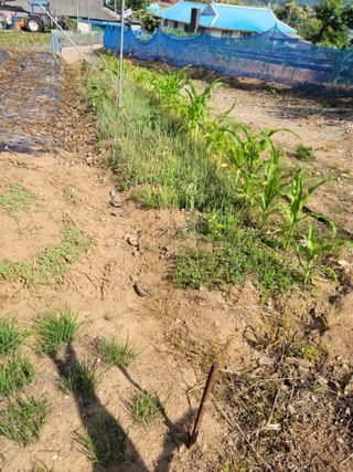 김동수님의 자유주제 · 자유게시판 작성글 사진