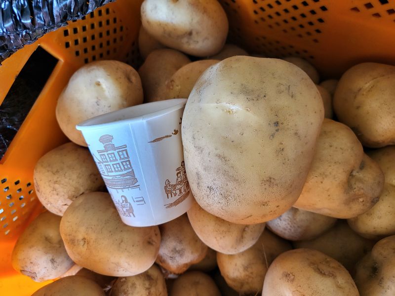 장터 상품 [수미감자 10k 무료배송] 썸네일