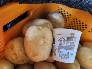 일곱색깔무지개님의 작성글 사진