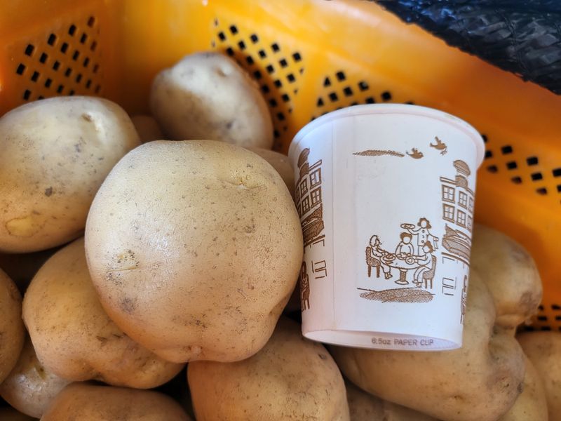 일곱색깔무지개님의 장터 판매 상품 [수미감자 10k 무료배송] 첨부 사진