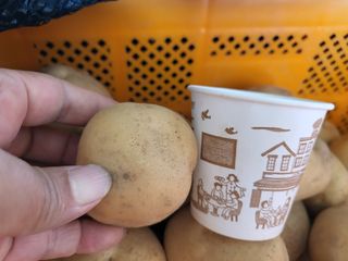 일곱색깔무지개님의 작성글 사진