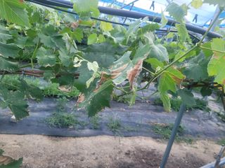 임마누엘님의 자유주제 · 자유게시판 작성글 사진