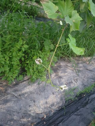 임마누엘님의 자유주제 · 자유게시판 작성글 사진