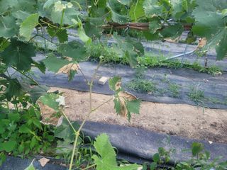 임마누엘님의 자유주제 · 자유게시판 작성글 사진