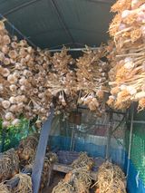 팜모닝 마늘·영농일지 게시글 이미지