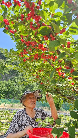 홍&이님의 🎤어떤 노래 좋아하세요? · 참여글 작성글 사진