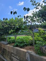 팜모닝 자유주제·자유게시판 게시글 이미지