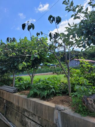 김본영 님의 자유주제 · 자유게시판 작성글 사진