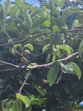 김본영 님의 자유주제 · 자유게시판 작성글 사진