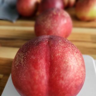 송윤서님의 복숭아 · 영농일지 작성글 사진