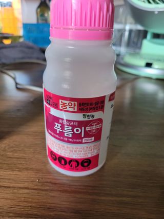 이출호님의 감 · 영농일지 작성글 사진