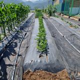 팜모닝 자유주제·자유게시판 게시글 이미지